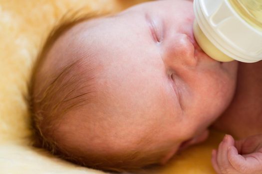 Newborn baby girl at feeding time.