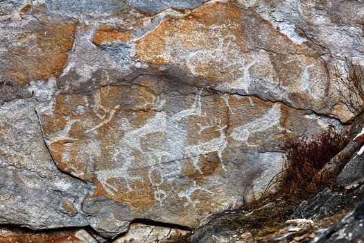 Rock paintings of ancient people. Image of ancient hunters with deer on the wall. ancient art, history, archeology