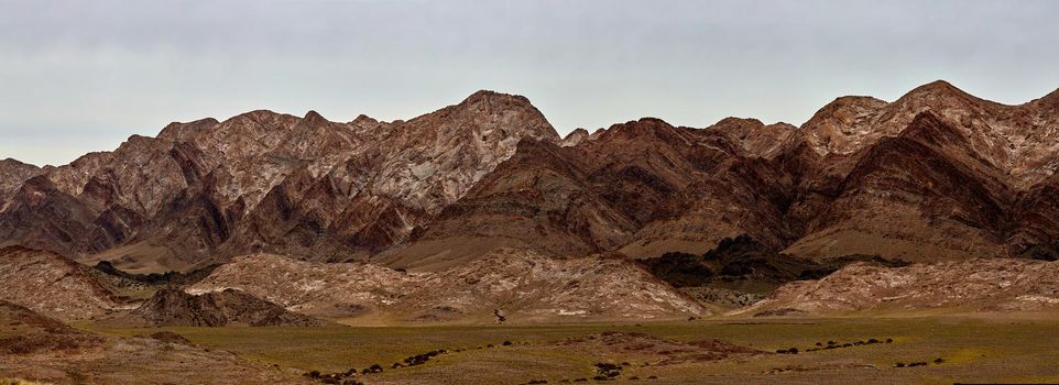 Pasture in the mountains of Mongolia. Landscapes of Mongolia, panorama of mountains in the Gobi desert.