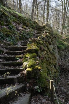 Background of stone stairs and a granite wall covered with green moss. High quality photo