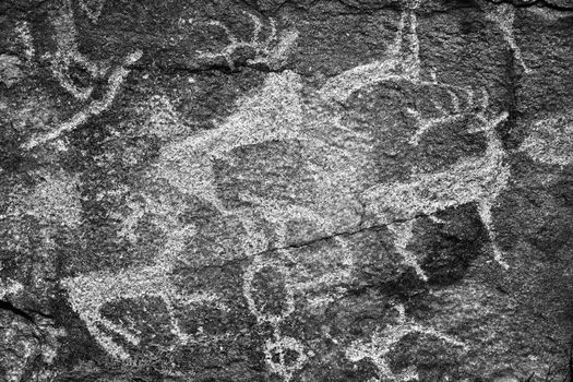 Rock paintings of ancient people. Image of ancient hunters with deer on the wall. ancient art, history, archeology