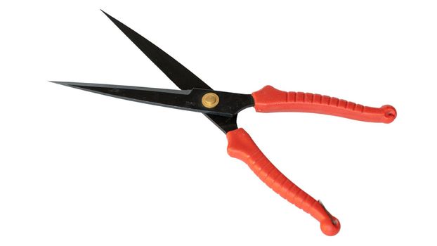 Hedge trimmer with red plastic handles on white isolated background