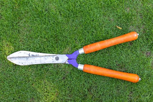 Hedge trimmer high angle view laying in a grass