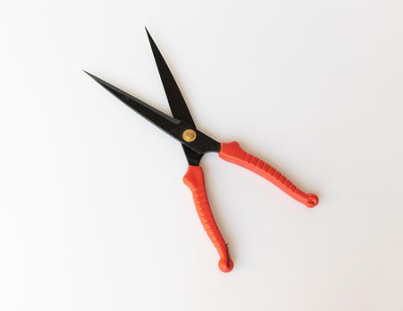 Plants trimmer on isolated white background