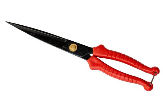 Sharp pruning tool with red plastic handles on white isolated background