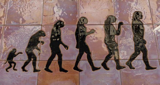 human evolution street art