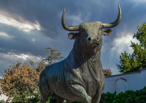 bronze sculpture of a fighting bull in the bullring of ronda malaga