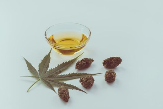 Set of marijuana features with CBD oil on glass bowl, hemp leaf and bud arranged on empty background. Legal cannabis distillation product concept.
