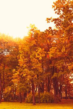 Seasonal travel, retro backdrop and rural environment concept - Beautiful autumn landscape background, vintage nature scene in fall season