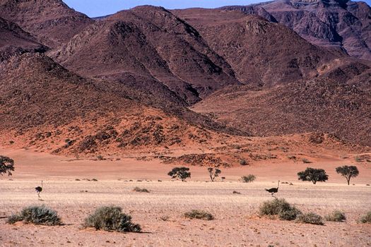 panoramic view of the namib naukluft park, Hardap, Namibia, Africa