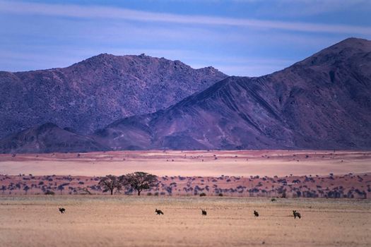 panoramic view of the namib naukluft park, Hardap, Namibia, Africa