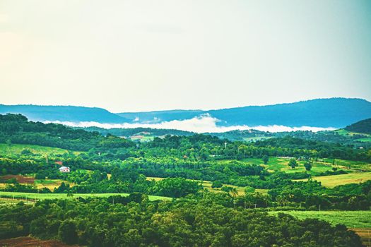 Foggy summer morning in the mountains. countryside landscape in morning light.