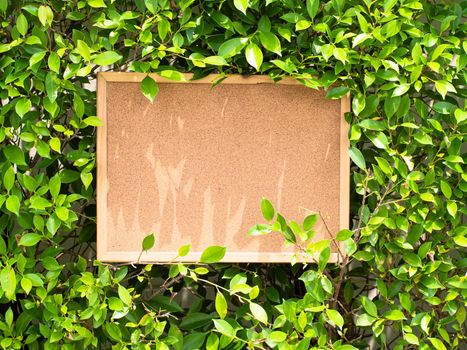 blank cork message pin board mock up object for communication.