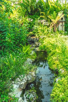 Asian topical garden forest plant with a pond nature background.