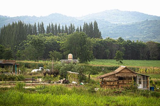 landscape with traditional mountain chalet and fresh green mountain pastures in summer