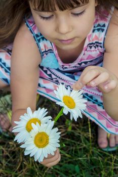 Girl with chamomile. Selective focus. nature flowers. Child.