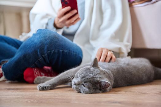 Home lifestyle, woman with cat, comfort calmness concept. Female sitting on floor on carpet using smartphone, pet gray british cat sleeping near owner, animal in focus