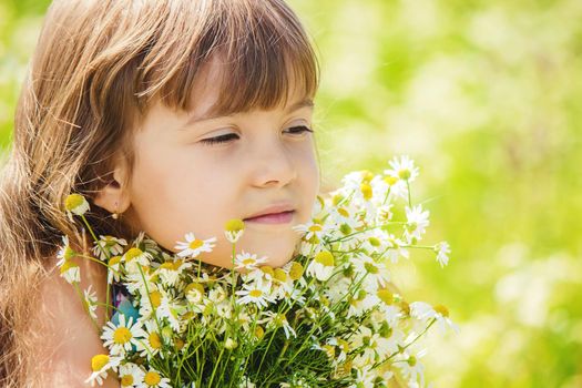 Girl with chamomile. Selective focus. nature flowers. Child.