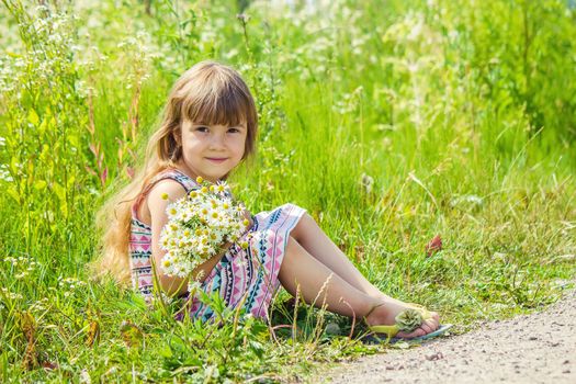 Girl with chamomile. Selective focus. nature flowers. Child.