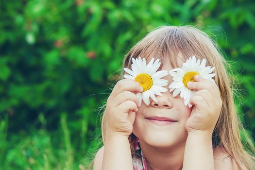 Girl with chamomile. Selective focus. nature flowers. Child.