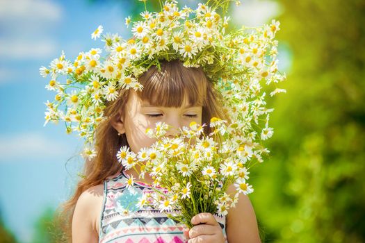 Girl with chamomile. Selective focus. nature flowers. Child.