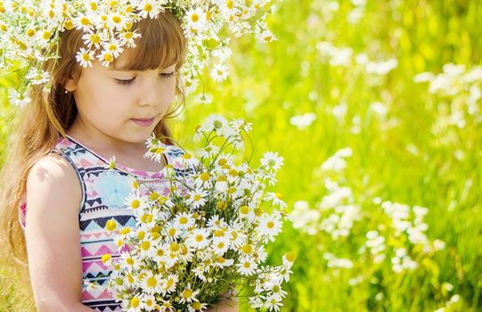 Girl with chamomile. Selective focus. nature flowers. Child.