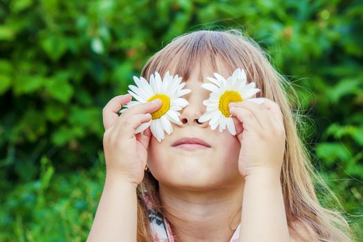 Girl with chamomile. Selective focus. nature flowers. Child.