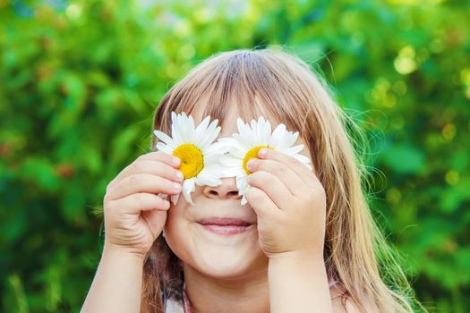 Girl with chamomile. Selective focus. nature flowers. Child.