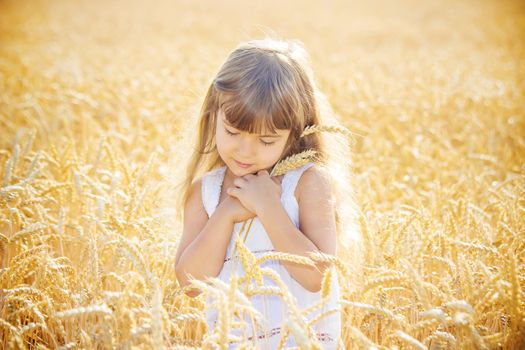 child in a wheat field. selective focus. nature