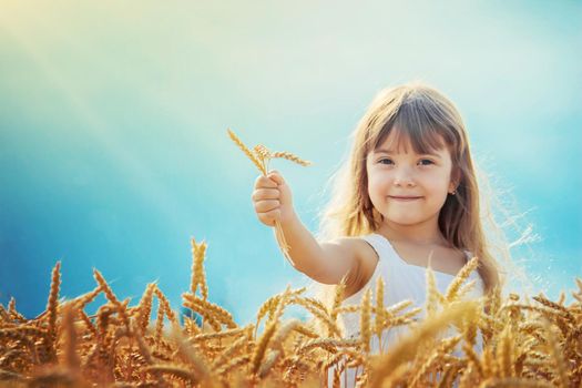 child in a wheat field. selective focus. nature