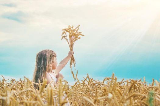 child in a wheat field. selective focus. nature