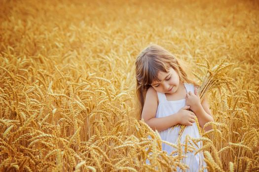 child in a wheat field. selective focus. nature