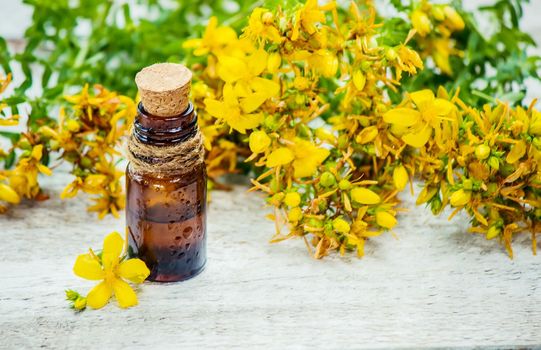 St. John's wort tincture in a small bottle.