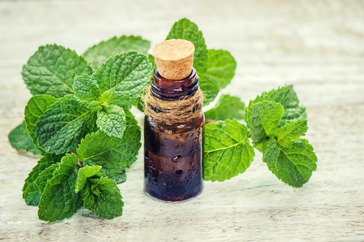 medicinal herbs. Selective focus. medicine and health. nature.