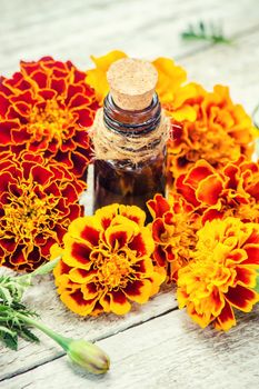 Essential oil of chernobrivtsev, marigold in a small bottle. Selective focus.