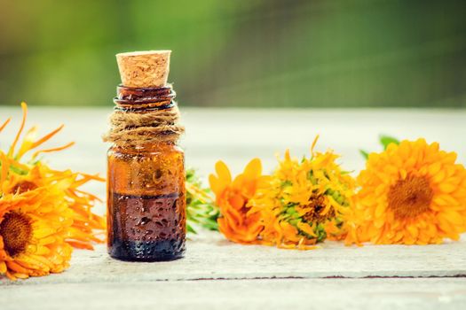 The calendula extract. Medicinal plants. Selective focus. nature.