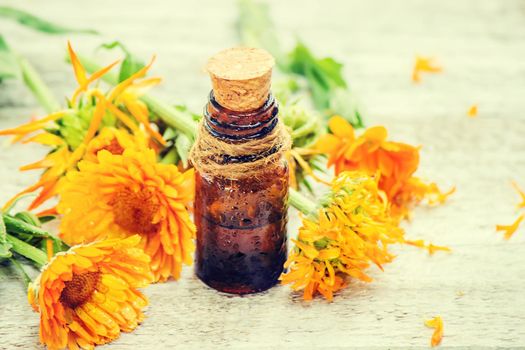 The calendula extract. Medicinal plants. Selective focus. nature.