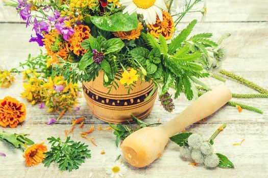 Herbs in a mortar. Medicinal plants. Selective focus. nature.