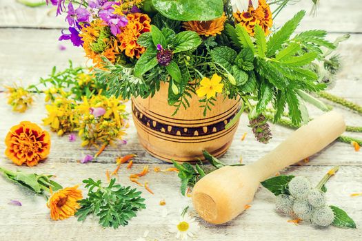 Herbs in a mortar. Medicinal plants. Selective focus. nature.
