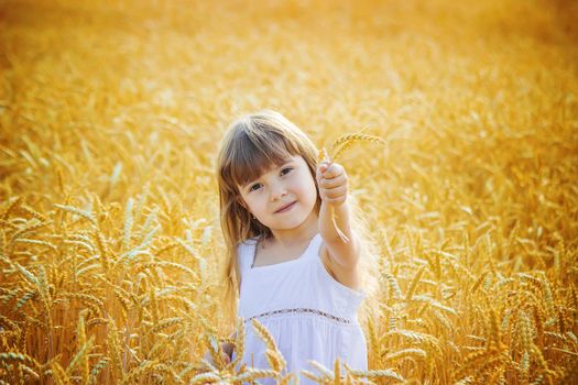 child in a wheat field. selective focus. nature