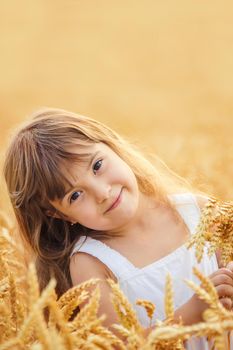 child in a wheat field. selective focus. nature