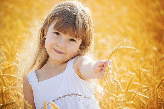child in a wheat field. selective focus. nature