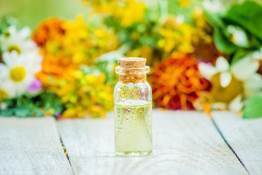 Herbs in a mortar. Medicinal plants. Selective focus. nature.