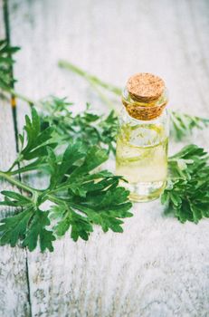 wormwood extract in a small jar. Selective focus. nature.