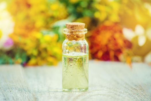 Herbs in a mortar. Medicinal plants. Selective focus. nature.