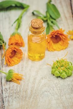 The calendula extract. Medicinal plants. Selective focus. nature.