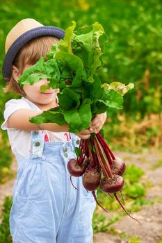 Child and vegetables on the farm. Selective focus. nature.