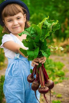 Child and vegetables on the farm. Selective focus. nature.