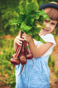 Child and vegetables on the farm. Selective focus. nature.