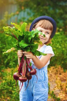 Child and vegetables on the farm. Selective focus. nature.